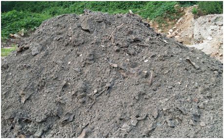 pg电子游戏(官方)最新IOS/安卓版/手机版APP下载