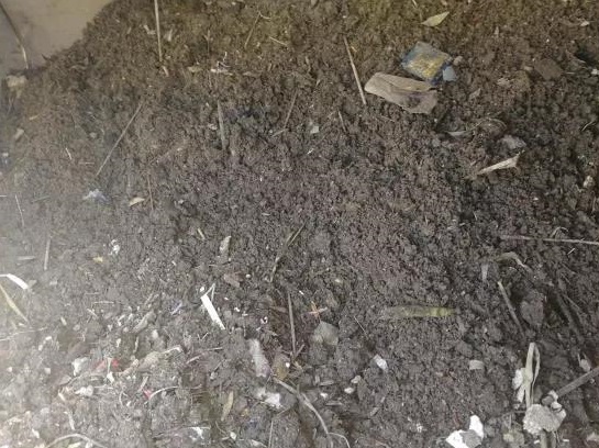 pg电子游戏(官方)最新IOS/安卓版/手机版APP下载