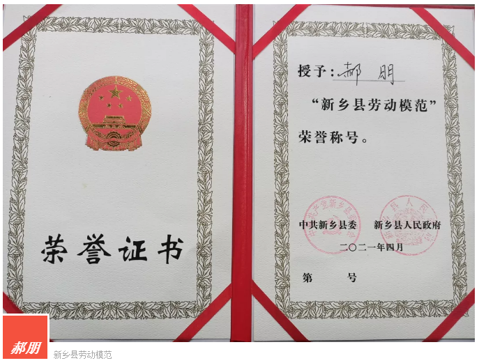 pg电子游戏(官方)最新IOS/安卓版/手机版APP下载