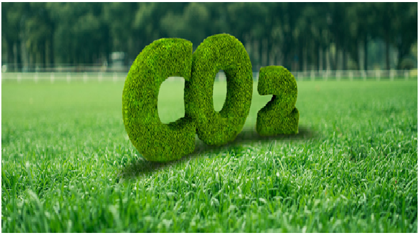 pg电子游戏(官方)最新IOS/安卓版/手机版APP下载