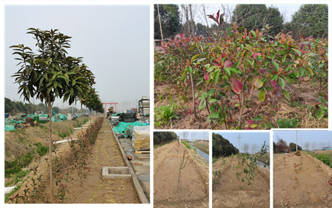 pg电子游戏(官方)最新IOS/安卓版/手机版APP下载