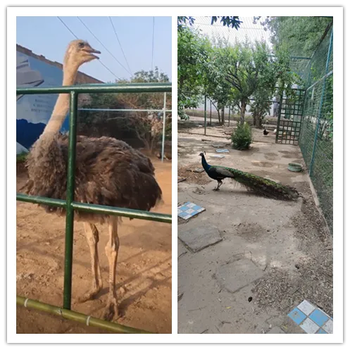 pg电子游戏(官方)最新IOS/安卓版/手机版APP下载